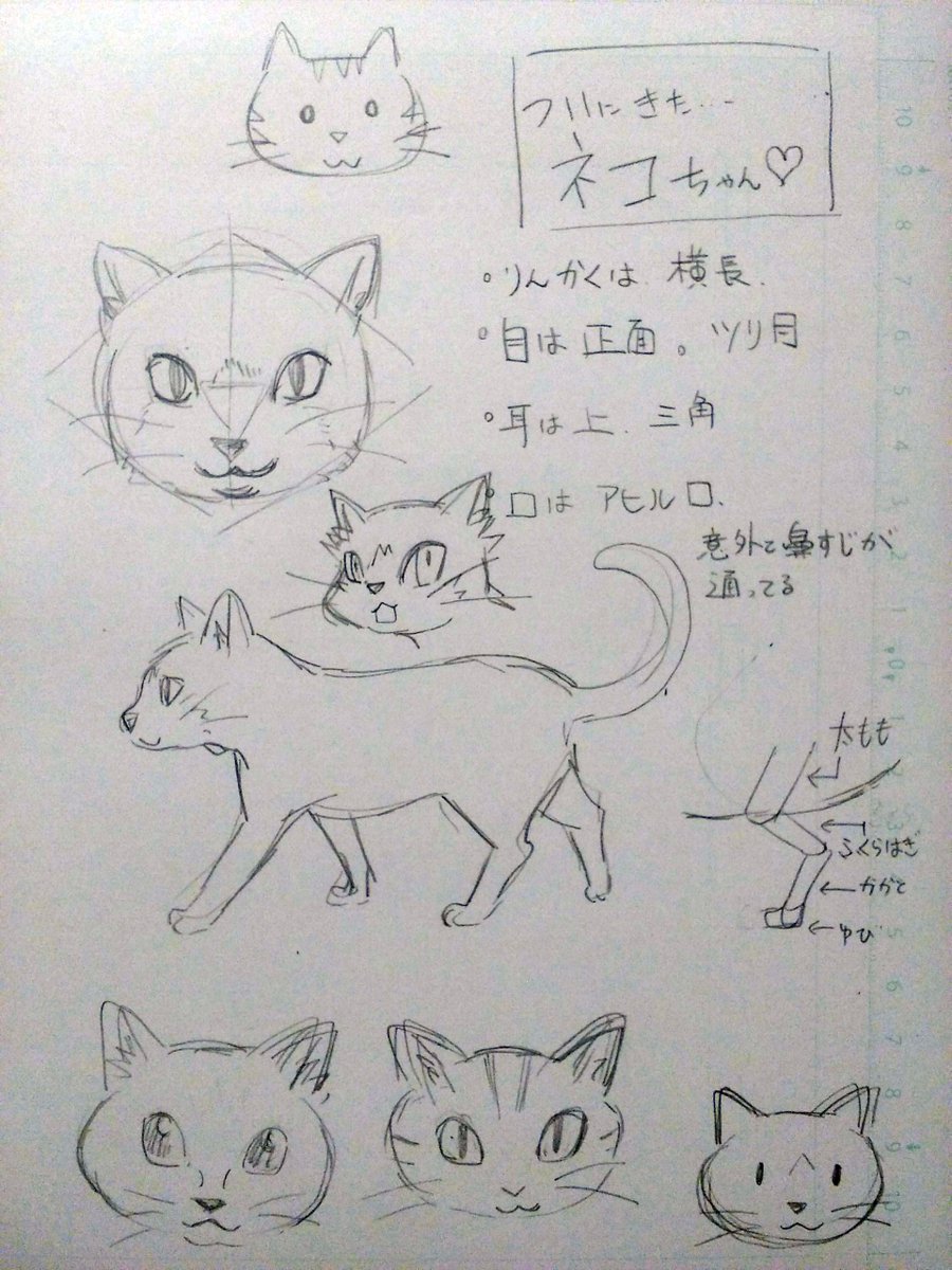今日の #ツイッタータイム は #どうぶつ顔チャレンジ 5/50 で猫ちゃんです #コルクラボマンガ専科 