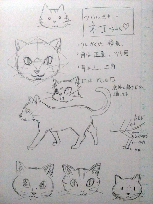 今日の #ツイッタータイム は #どうぶつ顔チャレンジ 5/50 で猫ちゃんです #コルクラボマンガ専科 