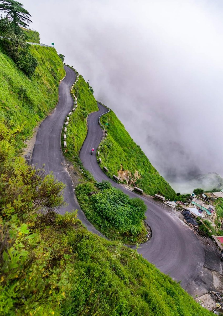 MyMussoorie tweet media