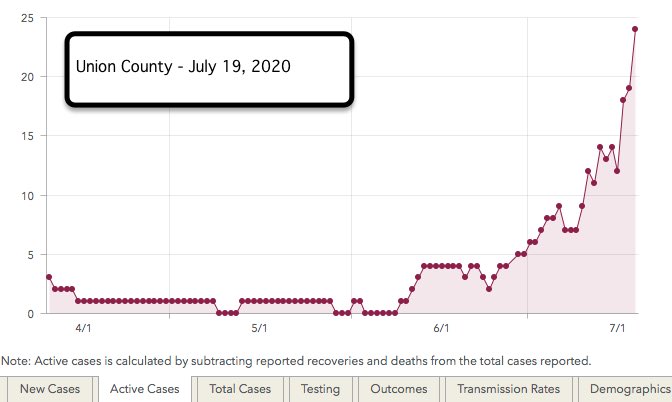 These are active cases of COVID-19 as of July 19, 2020...