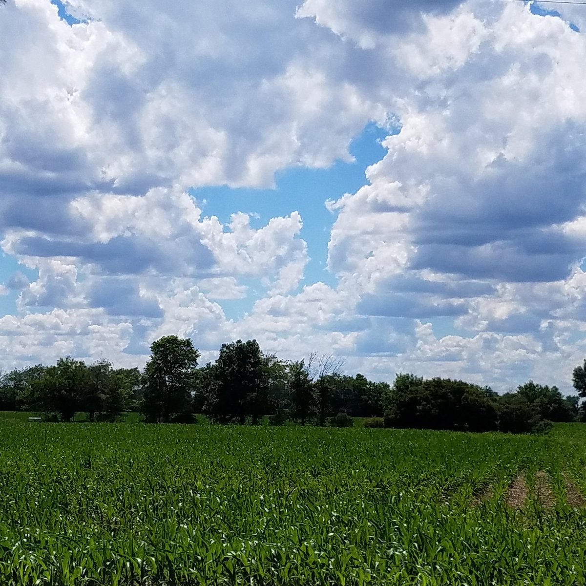 Kristy_Proxy's tweet photo. Have a cloud...
I shot this on a walk one day. Man, I love the sky.
#indiana #photography #skyphotography #cloudicious #cloudscape #photography #nature #lovinglife #enjoyinglife #peaceful https://t.co/WXgFF5WybC