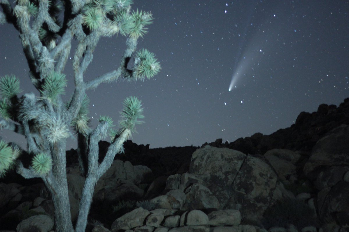 a couple unedited bangers I took in joshua tree last night