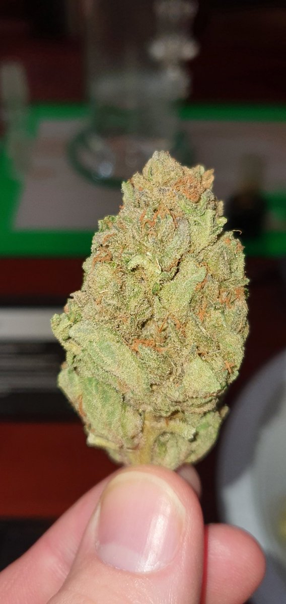 Buds420Best's tweet photo. Pineapple chunk absolutely delicious #cannabis #CannabisCommunity #420fam #nugs #bud #stoner https://t.co/3xEsc19YiM