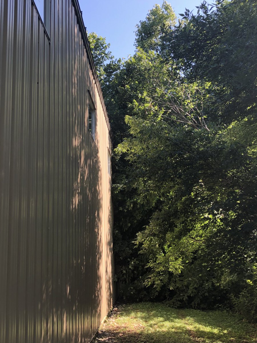 #stormdamage on the gym...#treecleanup on Monday.  #BTF week 3 begins tomorrow!