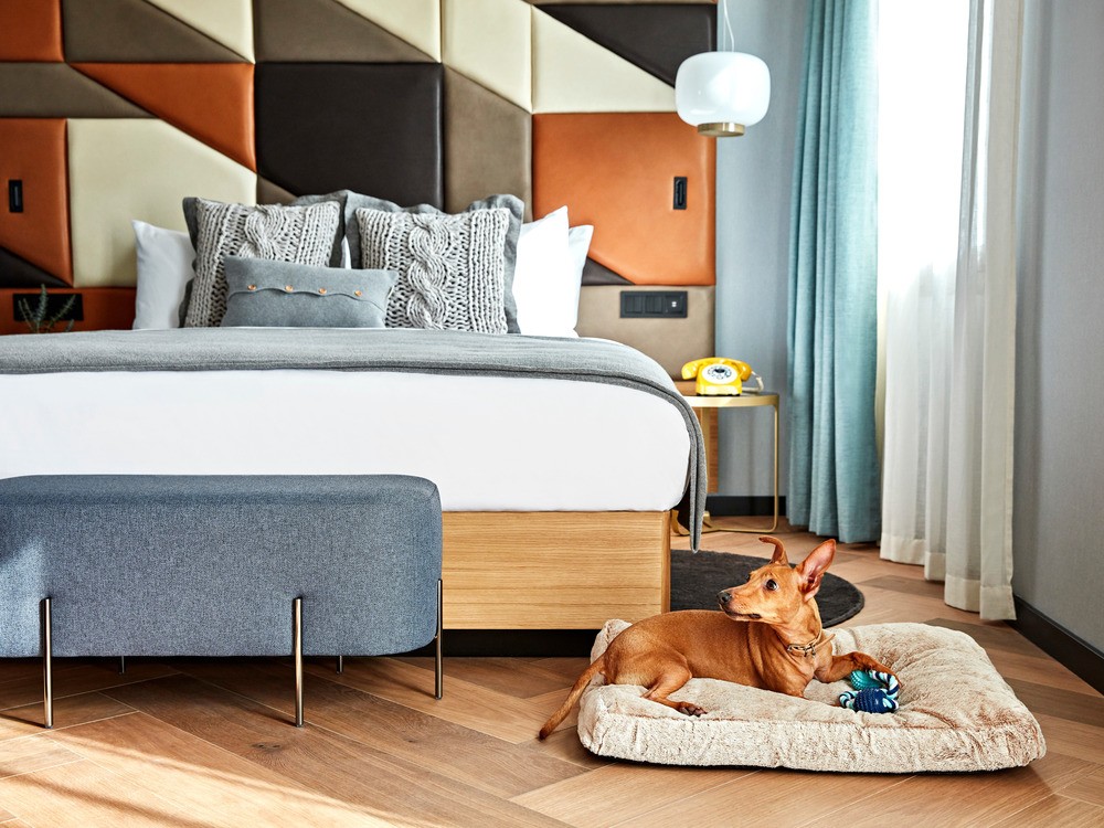 e_architect's tweet image. Fresh, lovely and dog-friendly : Kimpton Vividora Hotel in Barcelona’s Old City - Interior Design by EL EQUIPO CREATIVO
e-architect.co.uk/barcelona/kimp…
#BarcelonaHotel #BarcelonaInterior #ModernSpanishHotelInterior #CommercialSpanishArchitecture El Equipo Creativo