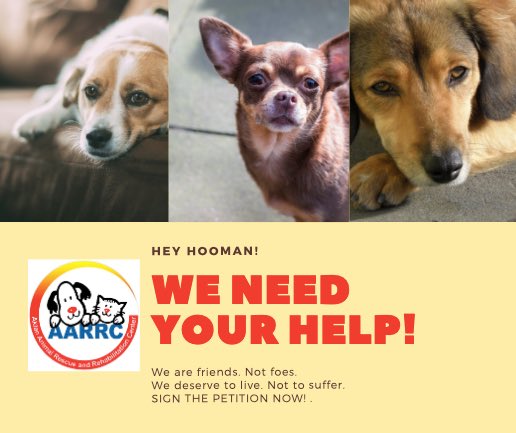 AklanRescue's tweet photo. HEY HOOMAN! 

WE ARE IN DIRE NEED OF YOUR HELP. THIS IS NOT A DRILL.

DO NOT BE  A COMPLICIT TO THESE KILLINGS! SIGN THE PETITION NOW!

👉🏻 https://t.co/Ht6dKhWaKe

#RescueDogs #AdoptDontShop #ShelterDogs #RescueIsTheBestBreed #AnimalWelfare #Philippines #AnimalRescue https://t.co/1lLblHP4Sv