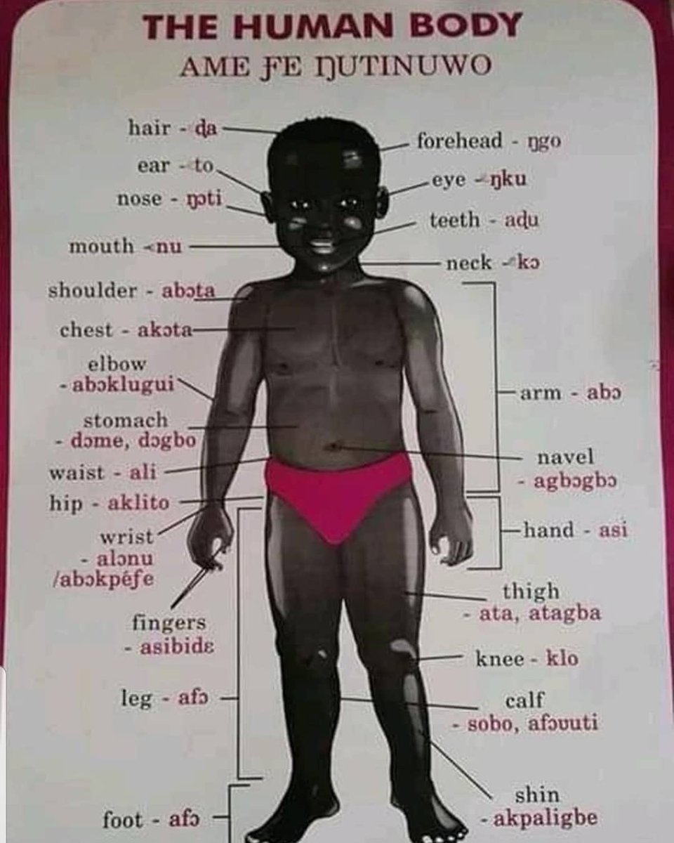 e_enation's tweet photo. The Human Body.
Start Your Ewe Language With This Human Body Parts Translated From English To Ewe 💯
#proud #eweculture #ewe #GMB2020 #Trending #TrendingNow #ewelanguage #culture #route66 #african #study #learning #learn https://t.co/GV3R9s8emK