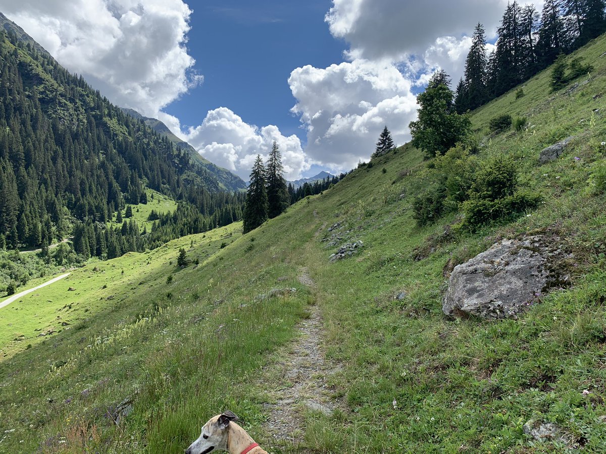 kaesekommissar's tweet photo. Garneratal
#slowtravel in #Vorarlberg comes mostly with #slow cheese
#surakees #bergkäse #Alpkäse #Butter #Joghurt #topfen #molke #sig #milch #rohmilch #rawmilk #wandern #natur #nature #montafon #garnera https://t.co/t2YwpYsytz
