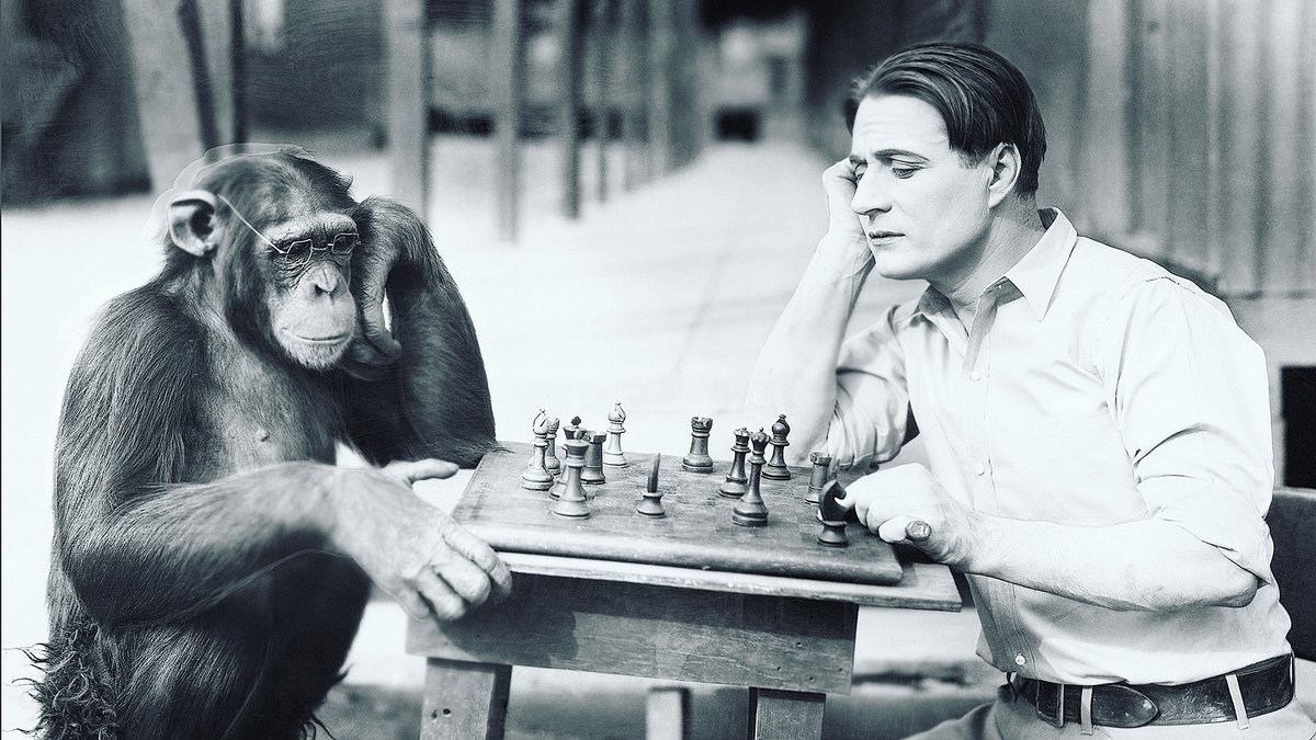 Intergengenetic's tweet photo. #İnsanlar ve #şempanzelerde, #genetik_materyalin %98 i benzerdir.
#Humans share about 98% of #genetic_material with #chimpanzees.

#Genetik_Gerçekler
#Genetics_Facts
#intergengenetics
#Ankara
#Turkey https://t.co/ZR9uV2U1Vh