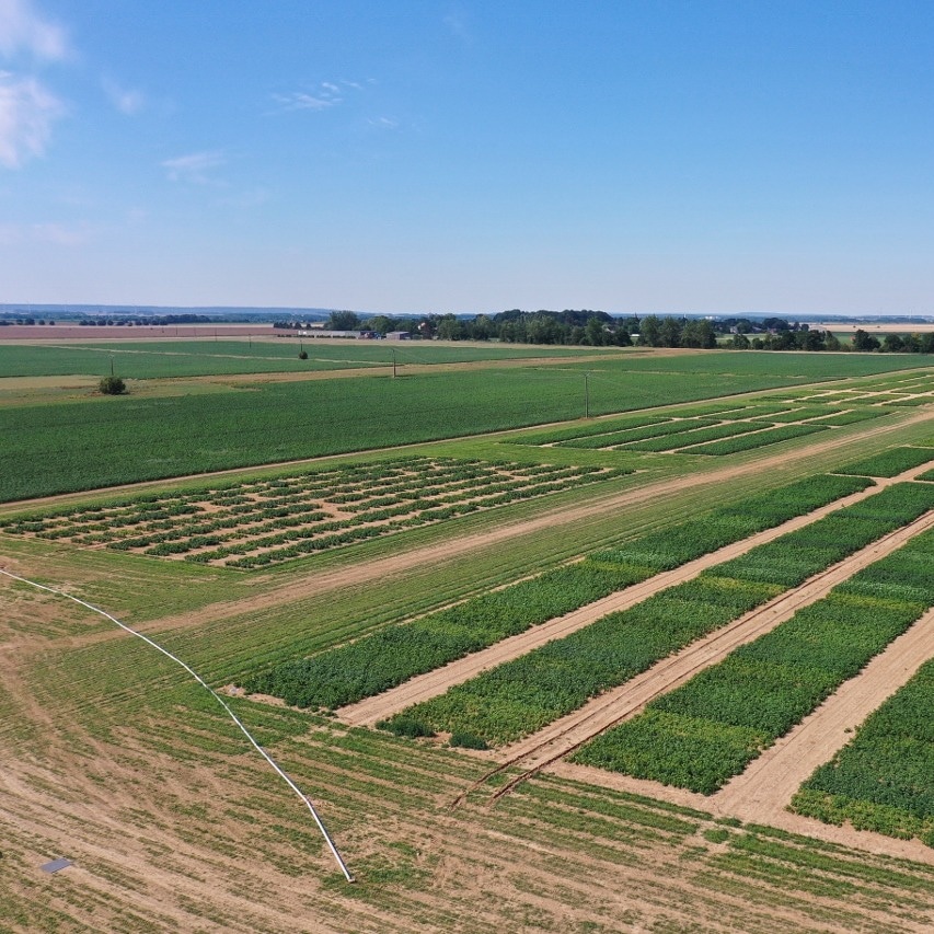 InnoVeg's tweet photo. We're carrying out main field scale trials alongside some small plot experiments this year. #INNOVEG potatoes can be spotted on the left of this photo taken in sunny France last week by project partner @Arvalisofficiel. 🥔☀️🇫🇷

#Drone #France #potatoes https://t.co/43fA2pknII