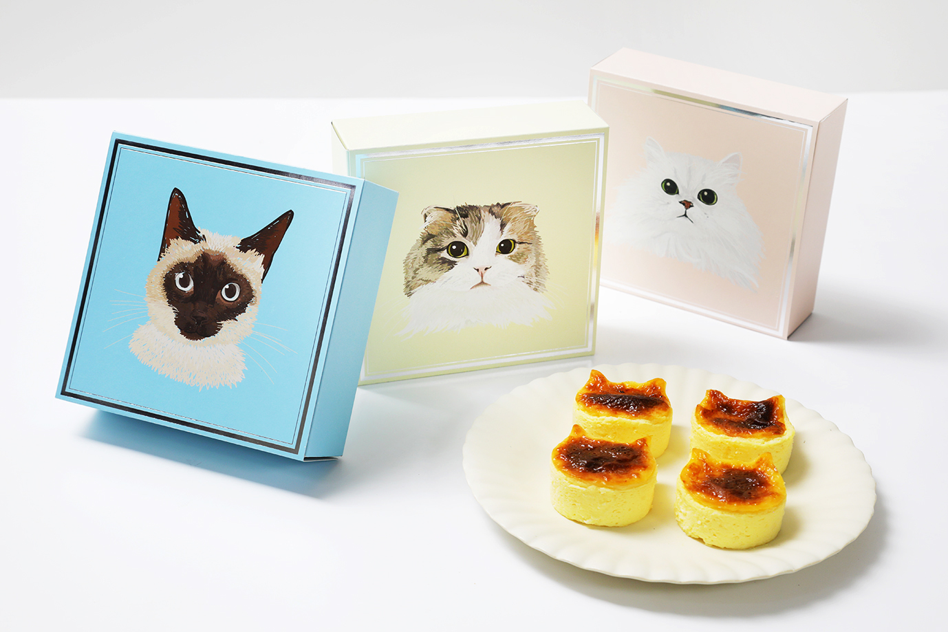 Cannele de Bordeaux専用 ねこねこチーズケーキ クリアファイル 格安 Cannele de Bordeaux専用 ねこねこチーズケーキ クリア