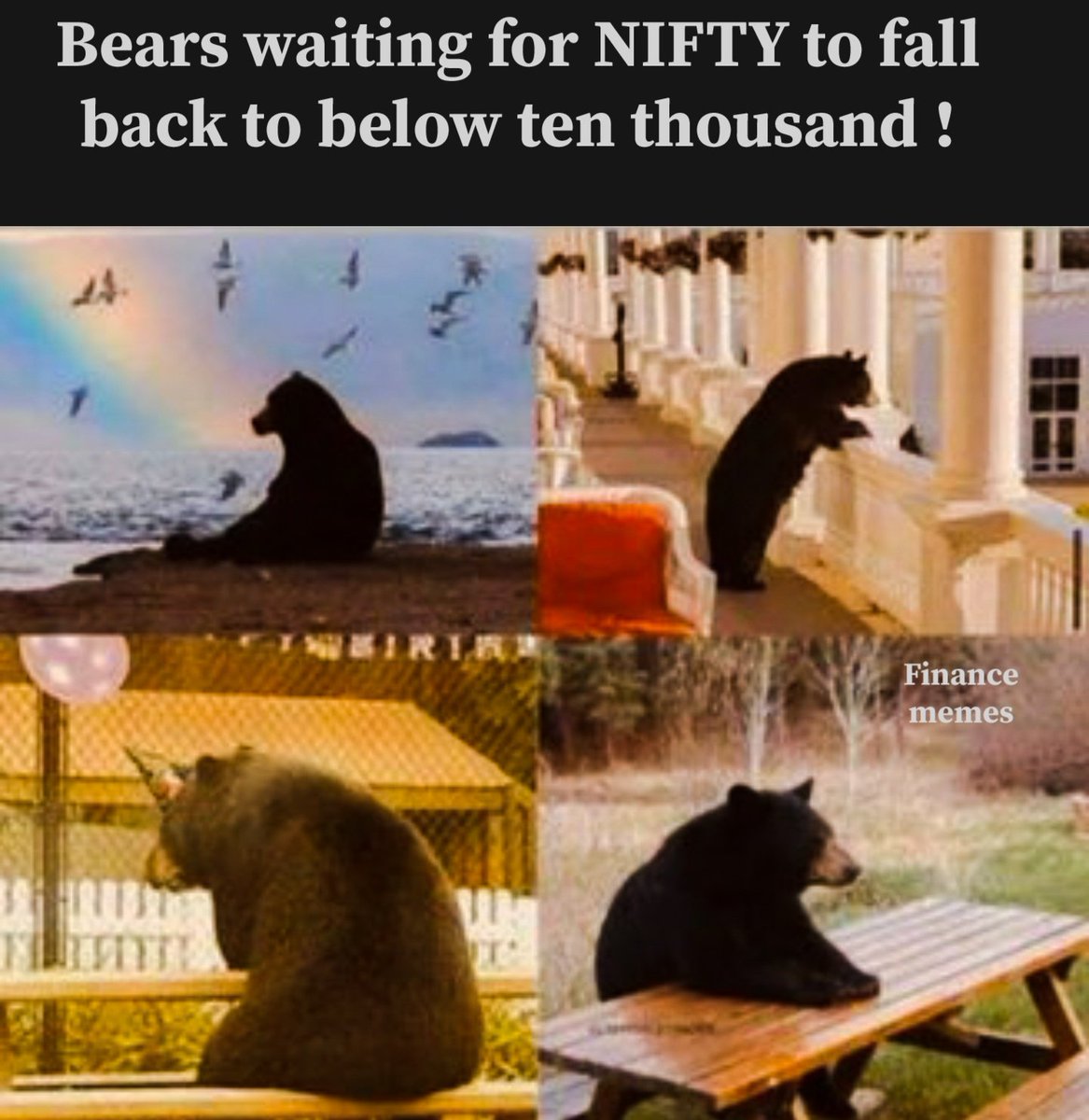 WeekendInvestng Bears be like 😂