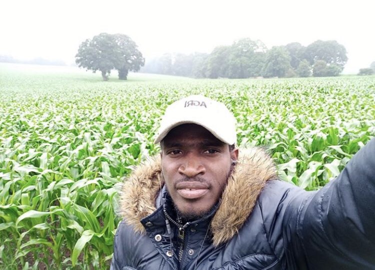 IMPORTANT TIPS FOR PRODUCTIVE MAIZE CULTIVATION IN NIGERIA @Femi_Farmer