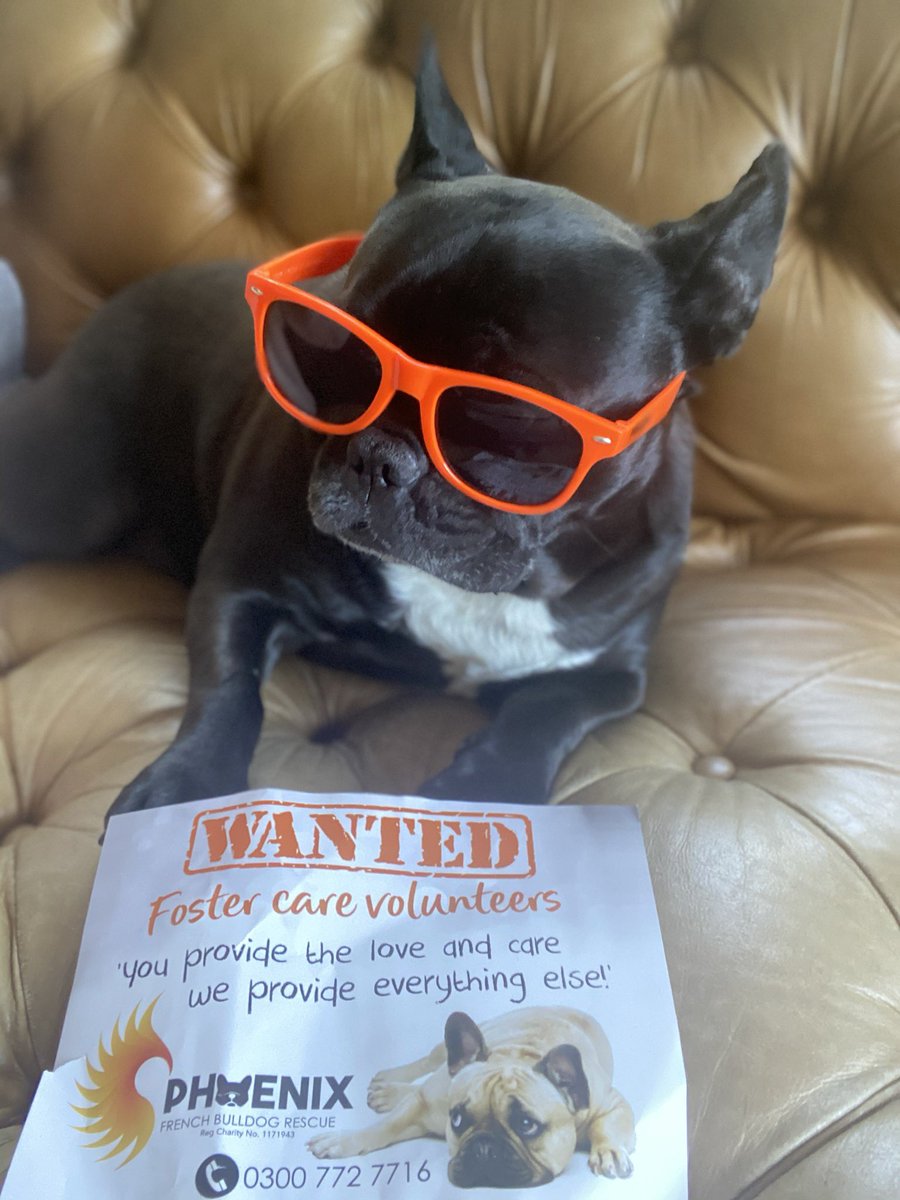 WANTED foster volunteers please! <a href="/ChefTomKerridge/">Tom Kerridge</a>