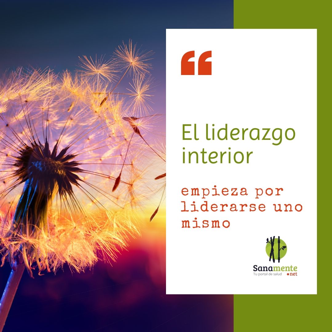 sanamentenet's tweet photo. El liderazgo interior tiene como cualidades la capacidad de la persona para motivar, inspirar y guiar a los demás.   👉 https://t.co/dXI3Q984lW  El primer paso es saberse liderar a uno mismo. #liderazgo #autocrecimiento #autoconocimiento #followme #sanamente #portaldesaludnatural https://t.co/6XVtVABzFM