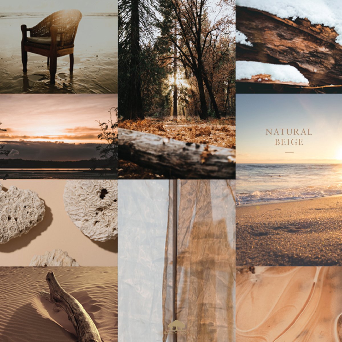 raimonland's tweet photo. ‘Natural Beige’ scheme imparts a sense of balance for natural lifestyle and wellbeing. 

โทนสี “Natural Beige” จากไรมอนแลนด์ คือการสร้างความสมดุลให้กับการตกแต่ง สะท้อนความเรียบง่ายและประณีต

Read> https://t.co/b6aBqugMUG

#RaimonLand #BuildingBetterLives #MaterialSelection https://t.co/ZL5y7UmGsK