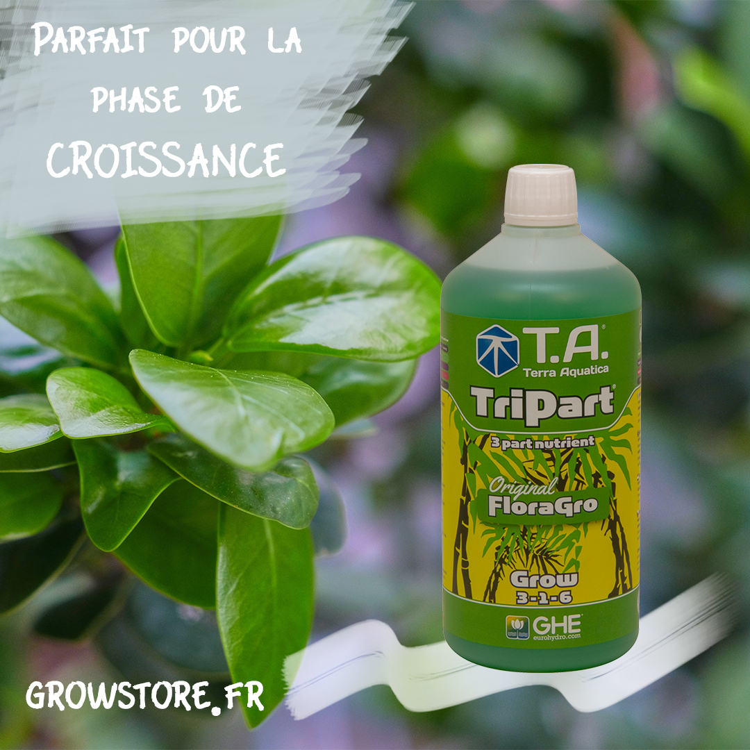 GrowstoreF's tweet photo. Parfait pour booster la croissance de vos plantes ! Tripart Grow sera votre allié sans faille. https://t.co/Wi5ZMRsjR2 #plantes #plante #engrais #jardin #hydroponie #aquaponie #cultures #growstore #terraaquatica #croissance https://t.co/xOj5cJmgEA