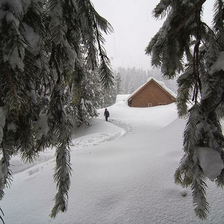 Vacationalist's tweet photo. The first snow is like first love...

Do you remember your first experience of  snow? 

📸 courtesy @imrkphotography 

#jktourismofficial #thevacationalist #incredibleindia #snowfall #kashmiridiaries #visitkashmir #placestogo #getinspiredtotravel #winter #nature #lovetravel https://t.co/4AhIHgud31