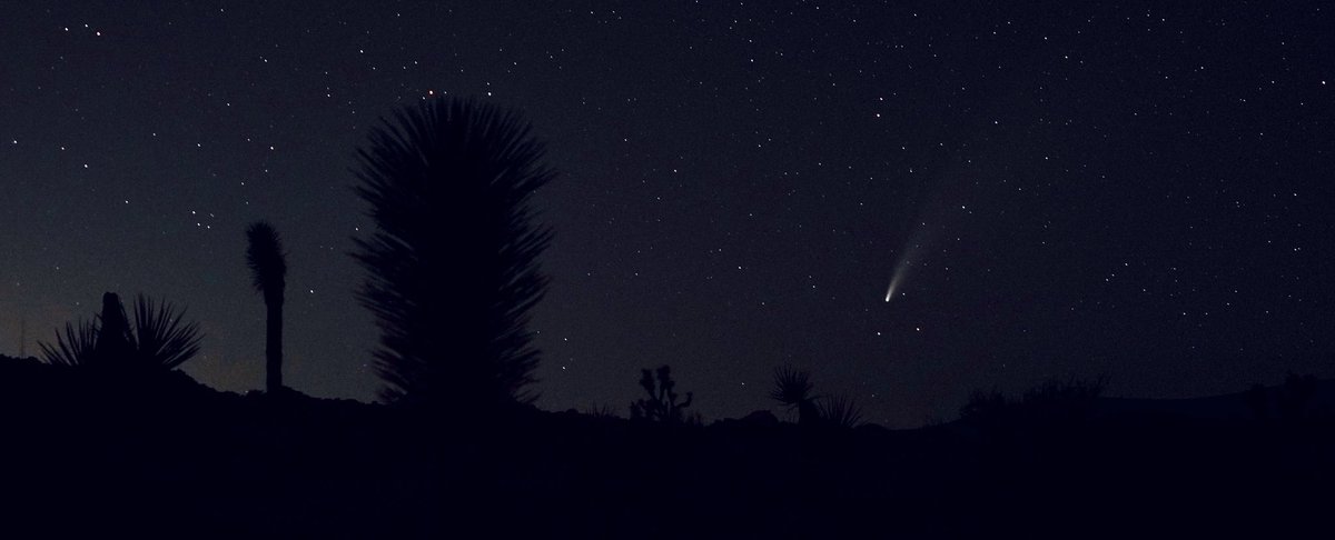 ethannestor's tweet image. took an impromptu trip to the desert last night and took these babies