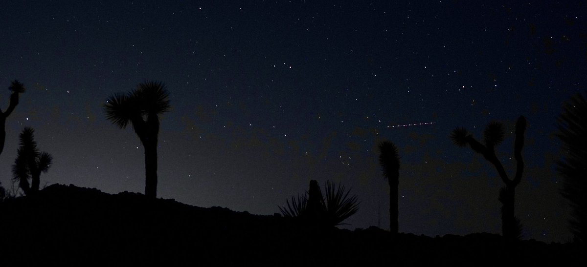 ethannestor's tweet image. took an impromptu trip to the desert last night and took these babies