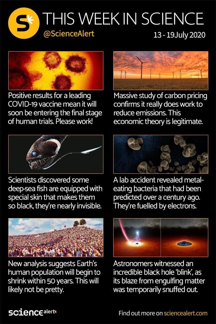 JCD_Science's tweet photo. All the science that is fit to print from the team @ScienceAlert ! So much happening in the world and out of this world too! Special congratulations to @HopeMarsMission for this morning’s launch! #JCDhomelearning #JCDphysics #JCDbiology #JCSchemistry #NASAspacecamp2020 https://t.co/rgNgr5PYIp