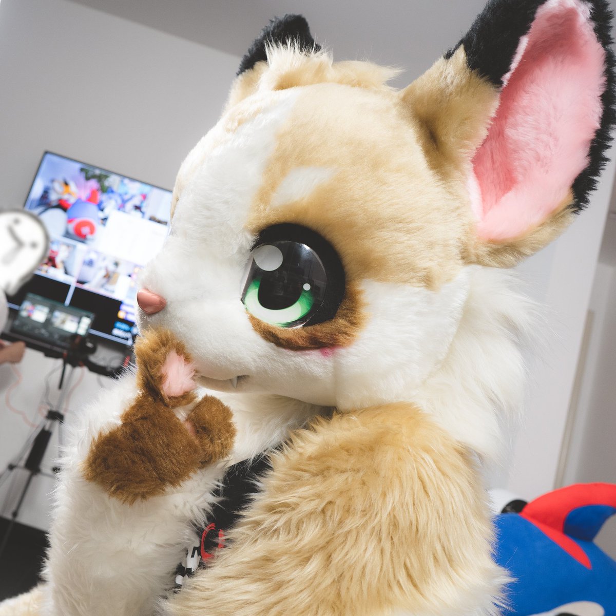 “悄悄告訴你小秘密~”