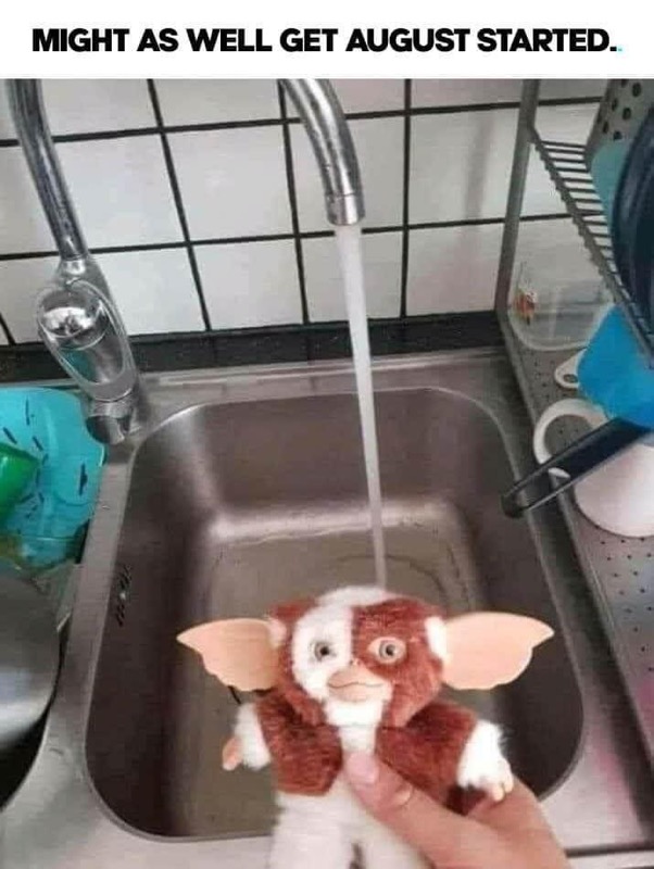 BenBat27's tweet image. Yep.