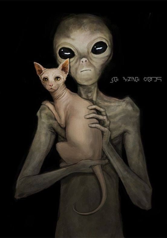 telliabear's tweet photo. Aliens take on the form of hairless cats to live among us.  #IsAConspiracyTheory https://t.co/cub7yB6a6C