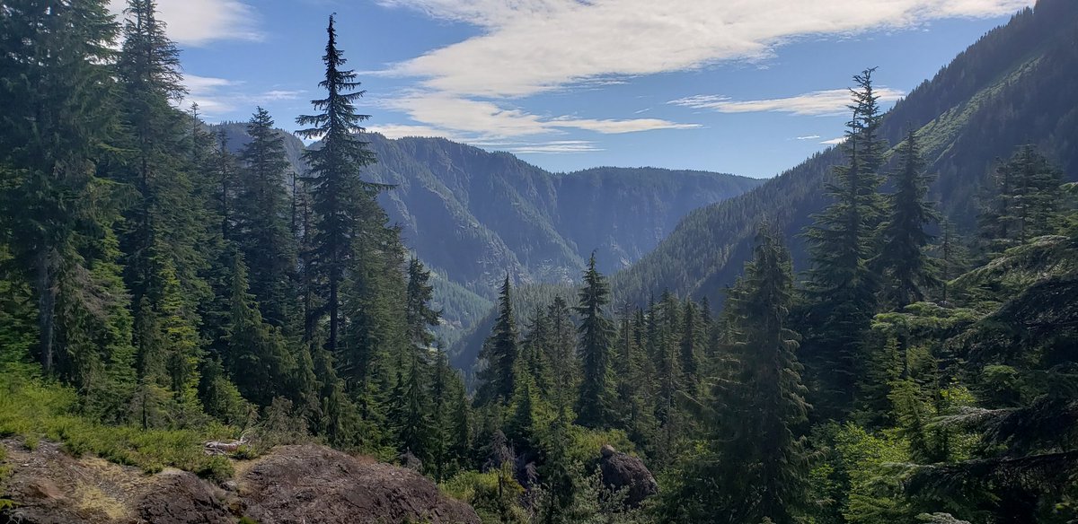MusqudoboitMike's tweet photo. Slowly but surely building up miles. Mixing hiking and running has saved my foot so far. https://t.co/4T7bd10fW9