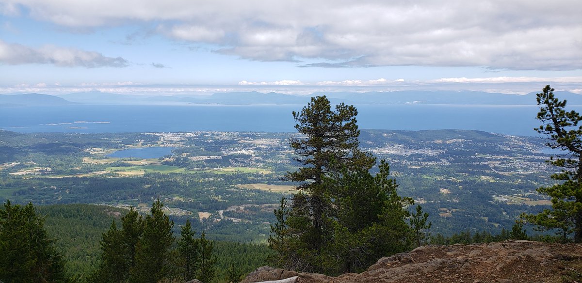MusqudoboitMike's tweet photo. My favorite recent #trailrun Mt. Benson near Nanaimo. 2300+/- in 6.6k Still need to work on my technical downhill skills. https://t.co/cn1BOXeJzF