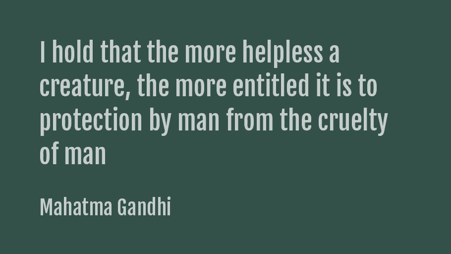 vgnvox's tweet photo. I hold that the more helpless a creature, the more entitled it is to protection by man from the cruelty of man-Mahatma GandhiShare with a friend https://t.co/eumzloEml5