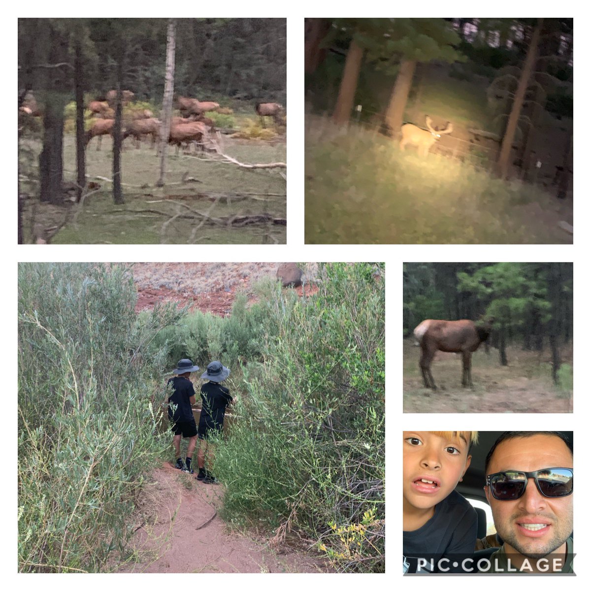 CurtisAVigil's tweet photo. In Godโs Country with my boys! #fishingpartners #Elk #Bucks https://t.co/MPYSK3Ng9v