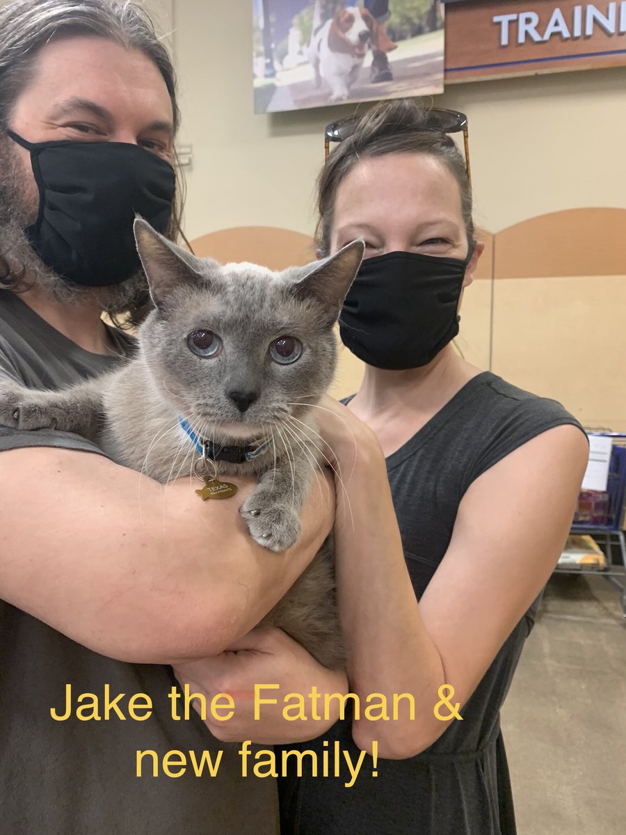 txpawprints's tweet photo. Adoption tails!

Jake the Fatman found his new home today.

Congratulations!  🎉😻

#adoptdontshop #iadopted #fortheloveofpets  #rescue #rescuecats #Petsmart https://t.co/RRTMofwooe