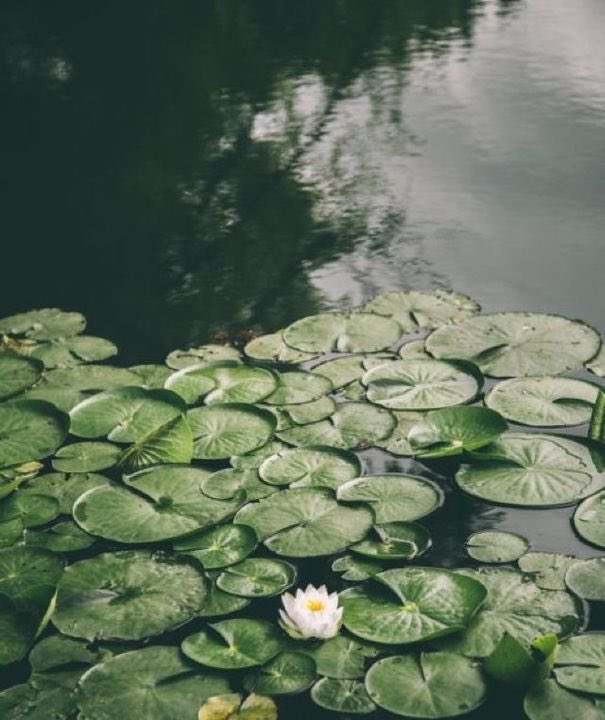 Nikky (26) Cringe Wizard tweet media