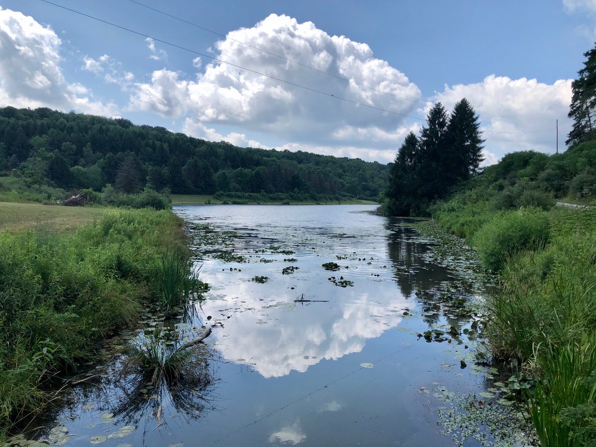 JanStadelmyer's tweet photo. The farm all 113 acres....great childhood memories #farmlake https://t.co/IxjJhegGAH