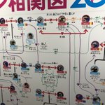 関係性はもうめちゃくちゃ!水族館のペンギンたちの相関図!