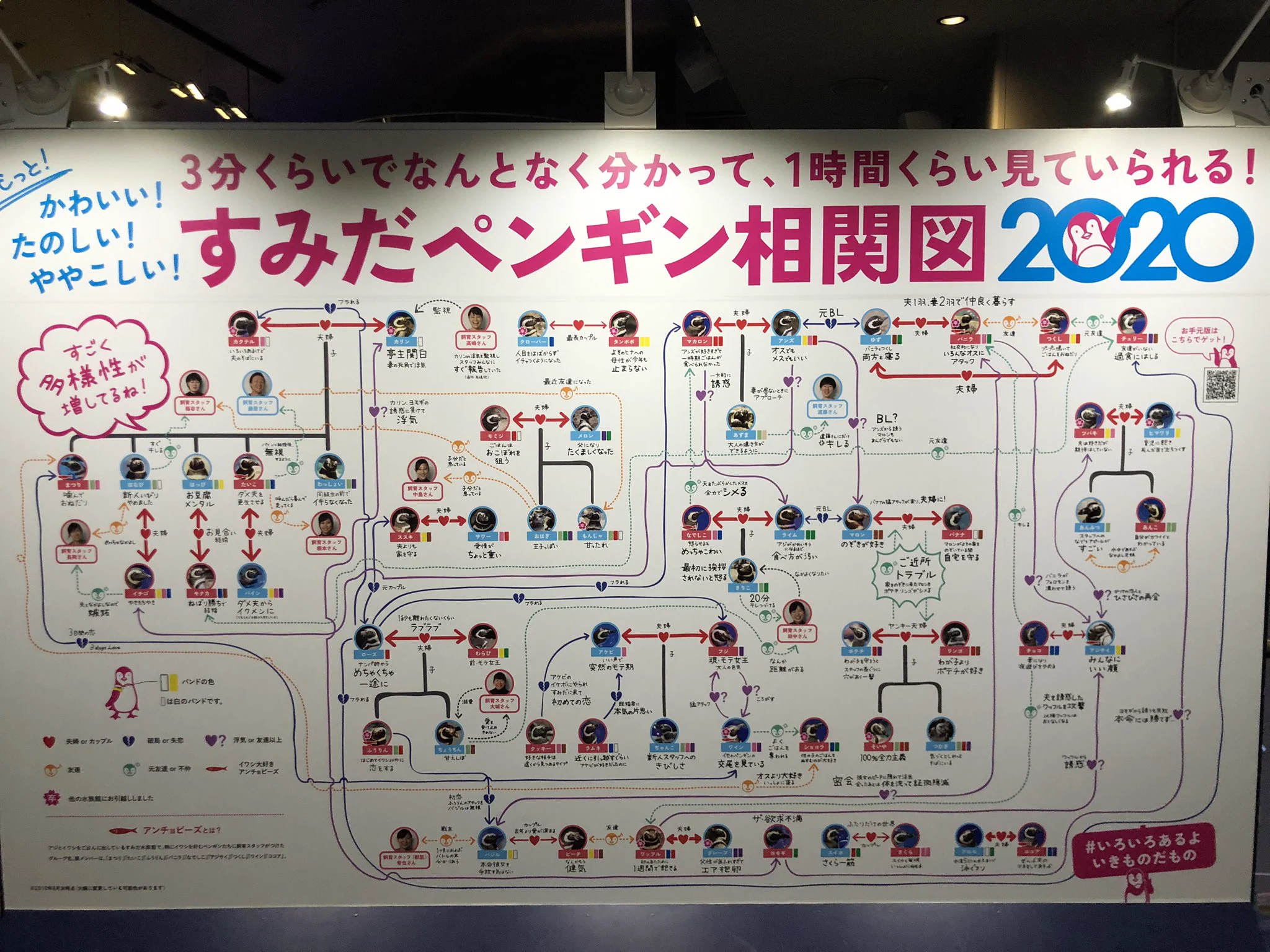 関係性はもうめちゃくちゃwww水族館のペンギンたちの相関図www