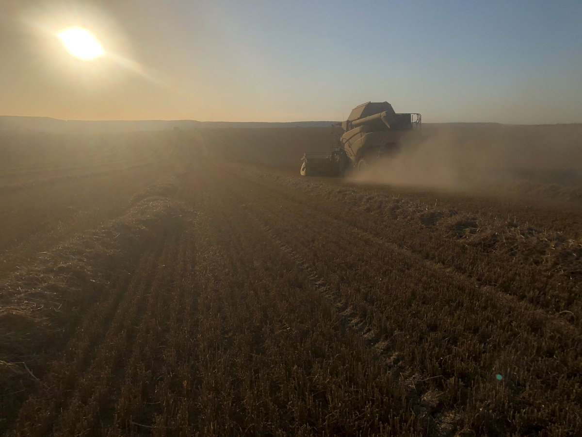 david_michel88's tweet image. Début de la #moisson2020 des #blé hier avec les semis de fin septembre qui tiennent leurs promesses...
#chevignon #extase