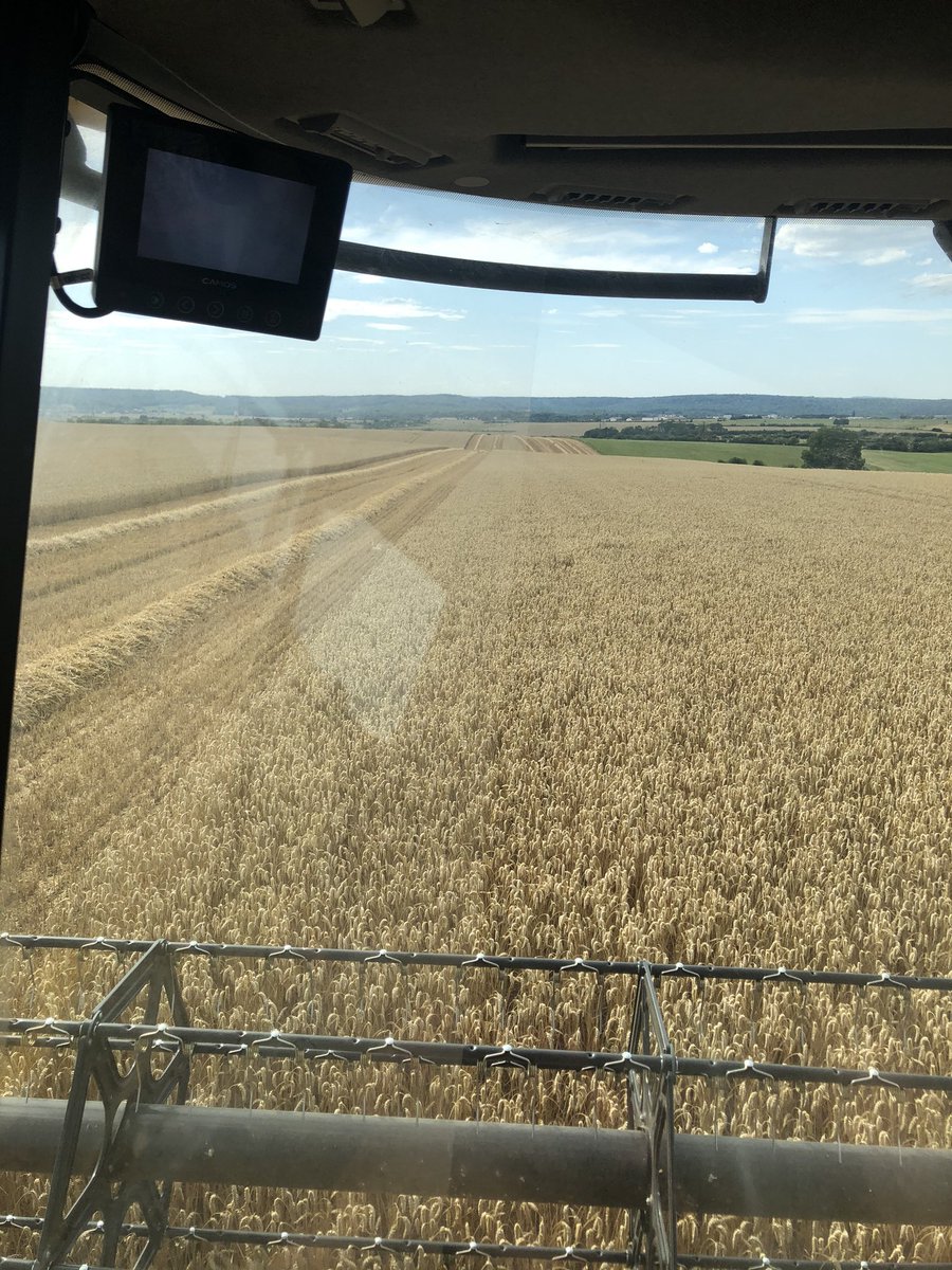 david_michel88's tweet image. Début de la #moisson2020 des #blé hier avec les semis de fin septembre qui tiennent leurs promesses...
#chevignon #extase