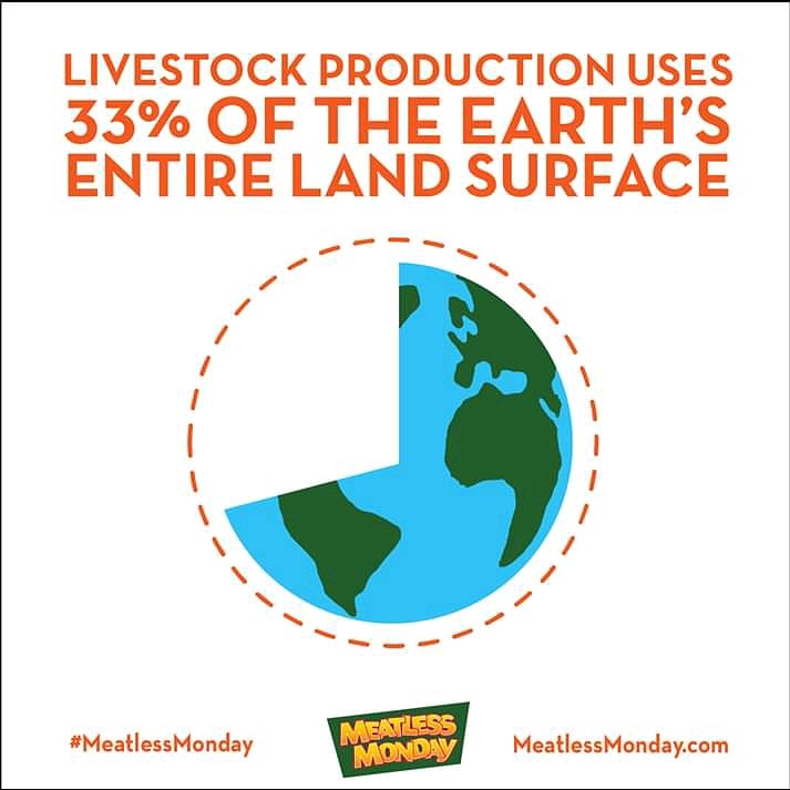 manna_mamoni's tweet photo. 33% land and water resources are used by animal agriculture which causes to deforestation and soil damage. We can reduce our animal consumption which will reduce number of animals slaughtered for food also there are environmental and health benefits as well.  
#Meatlessmonday https://t.co/RGWnri2eVz