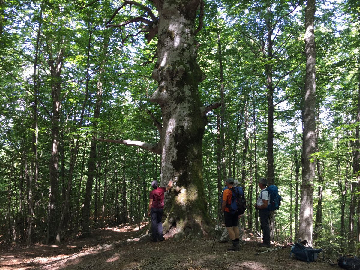 Sabato si è concluso un viaggio a piedi di cinque giorni sul Matese.
È stato un cammino faticoso, avventuroso, pieno di emozioni, paesaggi mozzafiato, natura selvaggia, silenzio e ottima compagnia.
Grazie a chi ha scelto il Molise ed è entrato nell’anima di questo territorio.