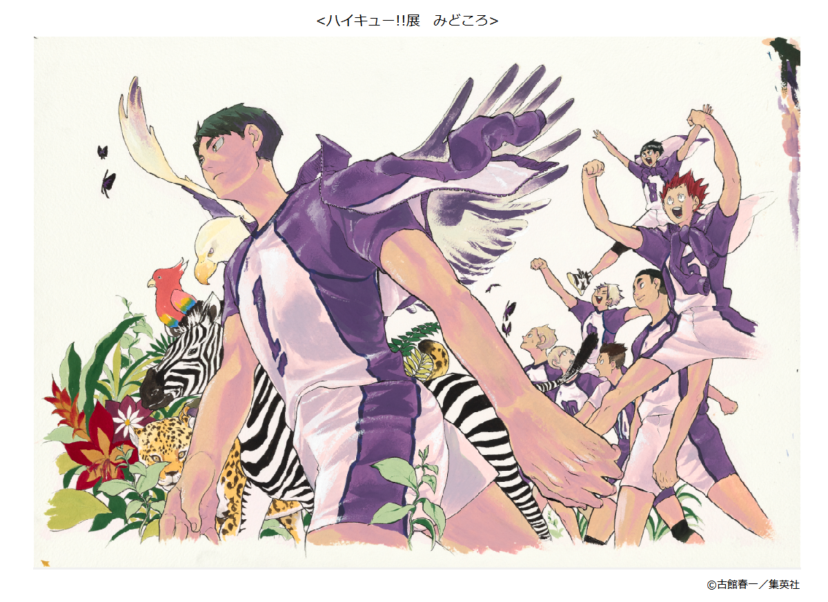 ハイキュー 展 บนทว ตเตอร ハイキュー 展 みどころ 仙台会場 展示原画を一部紹介 Jc 21巻 カバー用イラスト ハイキュー ハイキュー展