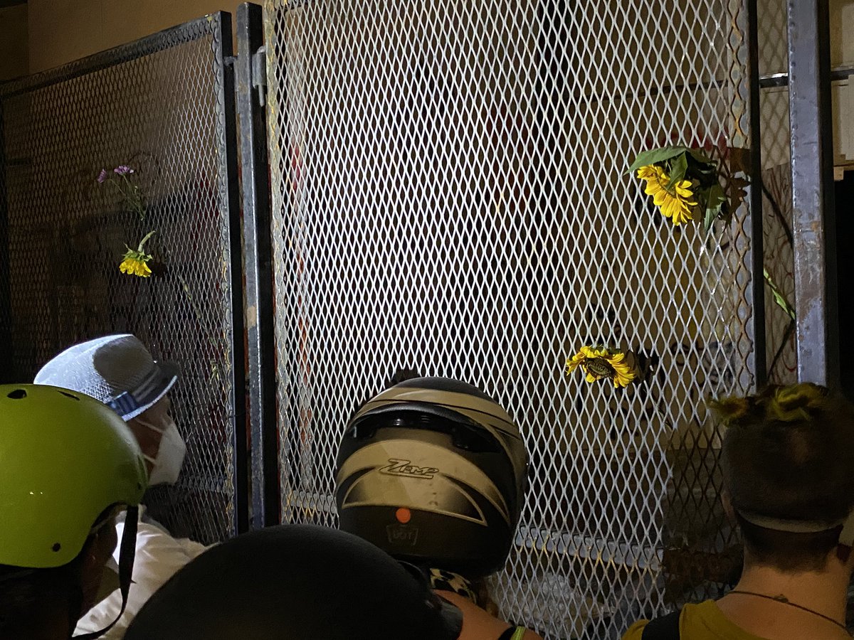 deborahebloom's tweet photo. The #wallofmoms is at the frontline and they’ve put sunflowers through the fence. SUNFLOWERS, y’all. They’re fearlessly wielding flowers. #PortlandProtest https://t.co/CUXjpZd8Fv
