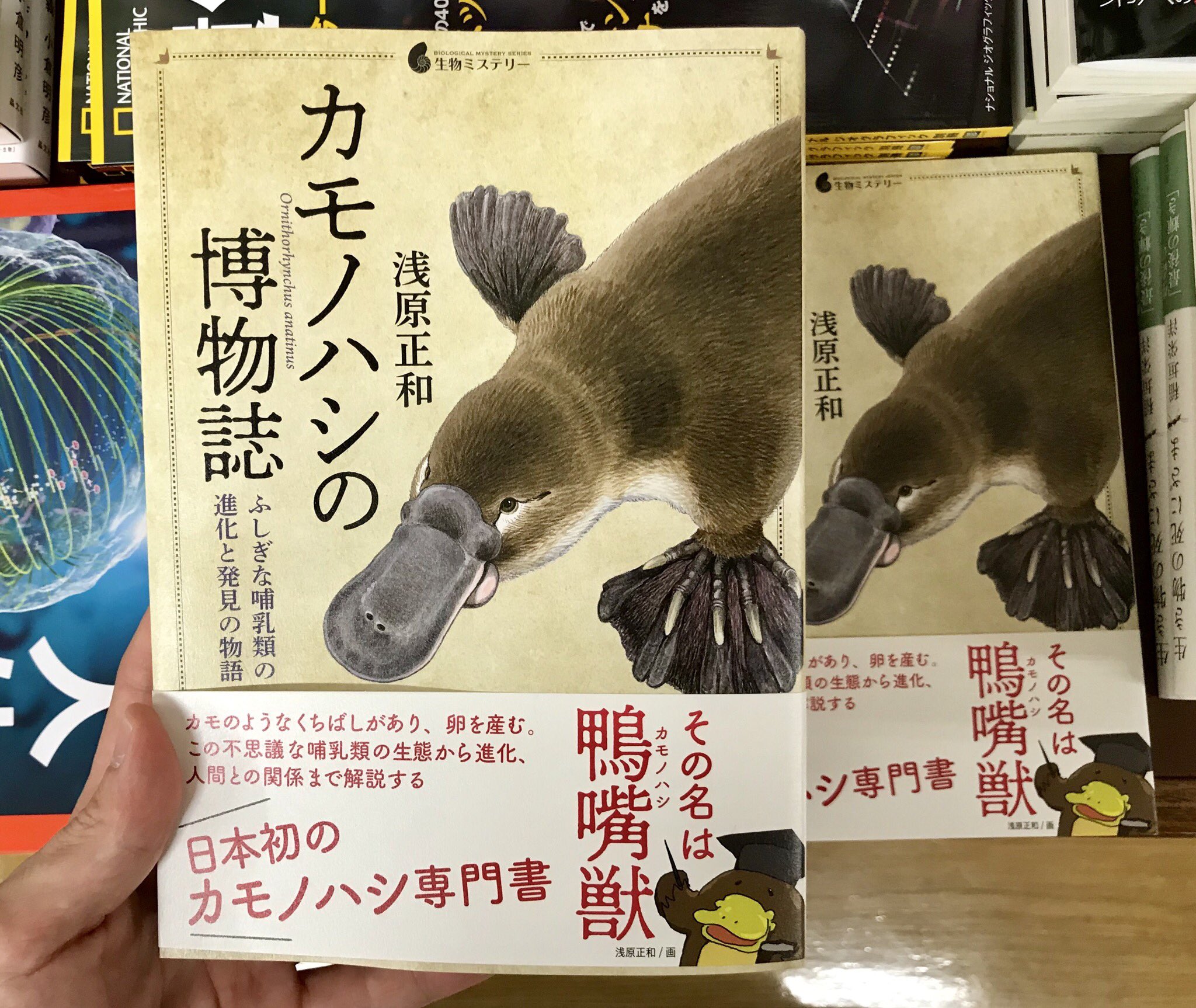 カモノハシくんはどこ? 生きものの分類学入門 カモノハシくんはどこ?: 生きものの分類学入門 (福音館のかがく