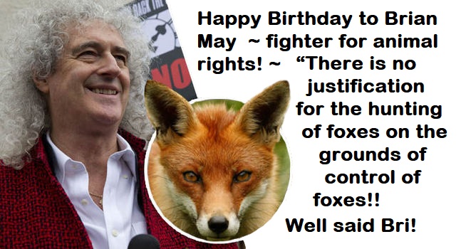 SENTHILSSK1982's tweet photo. @rashmigautam27
@juliana_monty
@julie_dutto
@asharmeet02
@Sachbang
@PeterEgan6
@PhaedraXTeddy
@BobBurg
@MarymoBelfast
#happybirthday #bekindtoanimals

Wishing @DrBrianMay, a VERY Happy Birthday. @QueenWillRock legend AND fighter for #AnimalWelfare.
#KeepTheBan and #KillTheCull 🦊 https://t.co/npY4kJOMT3