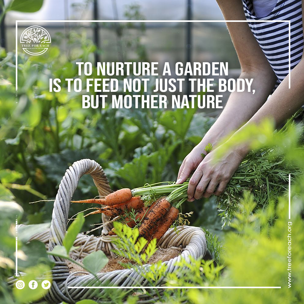 treeforeach's tweet photo. Home gardening not only helps you to release stress but also protects you from consuming pesticides &amp; fertilizers. #MotivationalMonday #TREEFOREACH #NGO #makeadifference #homegardening #kitchengarden #breathbetter #eatbetter #livebetter #sayno #pesticides #fertilizers #planttrees https://t.co/8RVv30LbRs