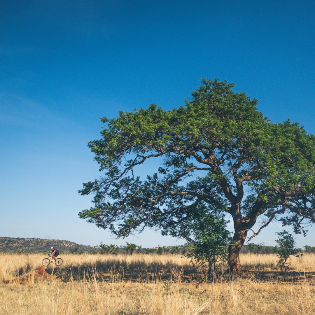Nature is calling and so is your bike! 
Entries now open bergandbush.co.za