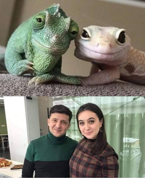 Украинские общественные организации просят Зеленского ликвидировать ОАСК: Не имеет ничего общего с законным и справедливым судопроизводством - Цензор.НЕТ 5999