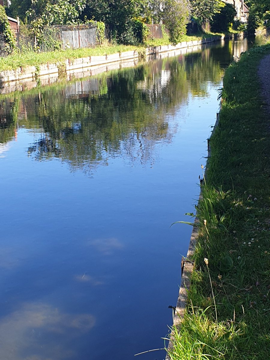 lmdasneves's tweet photo. The new river looking lovely this morning.... https://t.co/tcwCQOS9iP