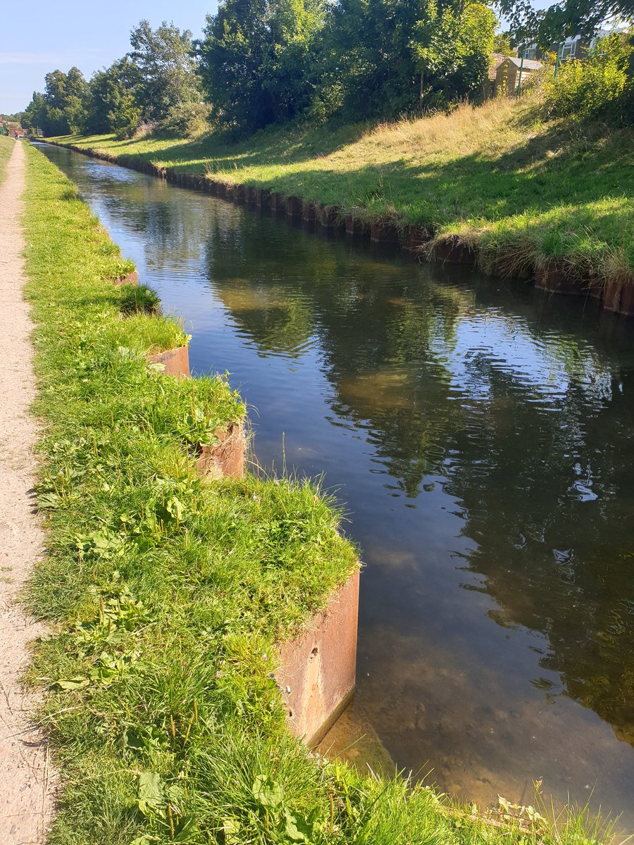 lmdasneves's tweet photo. The new river looking lovely this morning.... https://t.co/tcwCQOS9iP